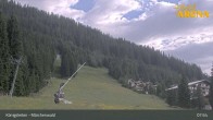 Archiv Foto Webcam Königsleiten: Märchenwald 07:00