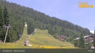 Archiv Foto Webcam Königsleiten: Märchenwald 12:00