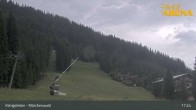 Archiv Foto Webcam Königsleiten: Märchenwald 16:00