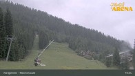Archiv Foto Webcam Königsleiten: Märchenwald 02:00