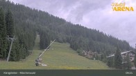 Archiv Foto Webcam Königsleiten: Märchenwald 08:00
