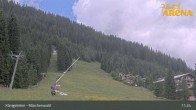 Archiv Foto Webcam Königsleiten: Märchenwald 10:00