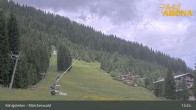 Archiv Foto Webcam Königsleiten: Märchenwald 12:00