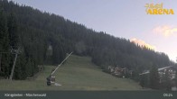 Archiv Foto Webcam Königsleiten: Märchenwald 04:00
