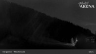 Archiv Foto Webcam Königsleiten: Märchenwald 02:00
