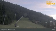 Archiv Foto Webcam Königsleiten: Märchenwald 04:00