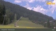 Archiv Foto Webcam Königsleiten: Märchenwald 14:00