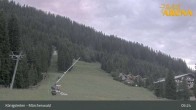 Archiv Foto Webcam Königsleiten: Märchenwald 04:00