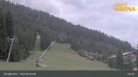 Archiv Foto Webcam Königsleiten: Märchenwald 04:00