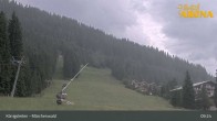 Archiv Foto Webcam Königsleiten: Märchenwald 08:00