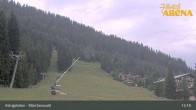 Archiv Foto Webcam Königsleiten: Märchenwald 12:00
