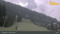 Archiv Foto Webcam Königsleiten: Märchenwald 14:00