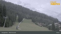 Archiv Foto Webcam Königsleiten: Märchenwald 04:00