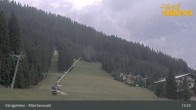 Archiv Foto Webcam Königsleiten: Märchenwald 12:00