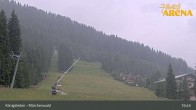 Archiv Foto Webcam Königsleiten: Märchenwald 04:00