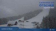 Archived image Webcam Lackenhof am Ötscher - Top Station 08:00