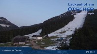 Archived image Webcam Lackenhof am Ötscher - Top Station 20:00