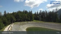 Archived image Webcam Lackenhof am Ötscher - Top Station 10:00