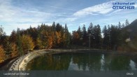 Archived image Webcam Lackenhof am Ötscher - Top Station 08:00