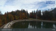 Archived image Webcam Lackenhof am Ötscher - Top Station 10:00