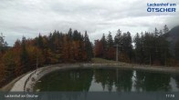 Archived image Webcam Lackenhof am Ötscher - Top Station 16:00