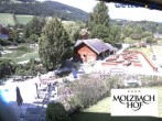 Archiv Foto Webcam Hotel Molzbachhof in Kirchberg am Wechsel 09:00