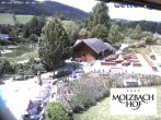 Archiv Foto Webcam Hotel Molzbachhof in Kirchberg am Wechsel 11:00