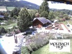 Archiv Foto Webcam Hotel Molzbachhof in Kirchberg am Wechsel 11:00