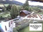 Archiv Foto Webcam Hotel Molzbachhof in Kirchberg am Wechsel 11:00