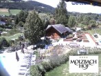 Archiv Foto Webcam Hotel Molzbachhof in Kirchberg am Wechsel 11:00