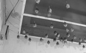 Archived image Webcam Feistritz / Gail - Bat House 06:00