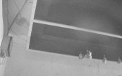 Archiv Foto Webcam Feistritz - Fledermaushaus 01:00