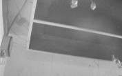 Archived image Webcam Feistritz / Gail - Bat House 23:00