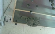 Archived image Webcam Feistritz / Gail - Bat House 05:00