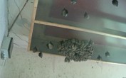 Archived image Webcam Feistritz / Gail - Bat House 06:00