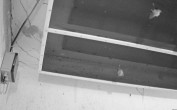 Archiv Foto Webcam Feistritz - Fledermaushaus 23:00