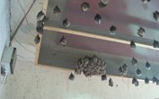Archived image Webcam Feistritz / Gail - Bat House 05:00