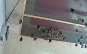 Archived image Webcam Feistritz / Gail - Bat House 07:00