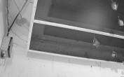 Archiv Foto Webcam Feistritz - Fledermaushaus 23:00