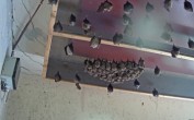 Archiv Foto Webcam Feistritz - Fledermaushaus 11:00