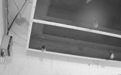 Archiv Foto Webcam Feistritz - Fledermaushaus 03:00