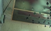 Archiv Foto Webcam Feistritz - Fledermaushaus 09:00