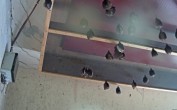 Archiv Foto Webcam Feistritz - Fledermaushaus 11:00