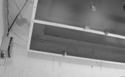 Archiv Foto Webcam Feistritz - Fledermaushaus 19:00
