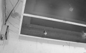 Archiv Foto Webcam Feistritz - Fledermaushaus 03:00