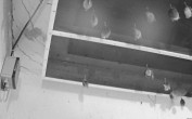 Archiv Foto Webcam Feistritz - Fledermaushaus 01:00
