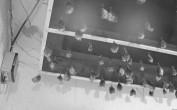 Archiv Foto Webcam Feistritz - Fledermaushaus 23:00