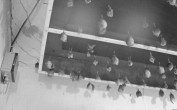 Archiv Foto Webcam Feistritz - Fledermaushaus 01:00