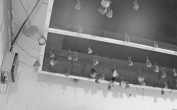 Archiv Foto Webcam Feistritz - Fledermaushaus 03:00