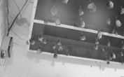 Archiv Foto Webcam Feistritz - Fledermaushaus 01:00